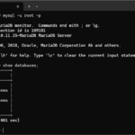 【RHEL 10 / MySQL】自宅サーバーにおけるWordPress用データベース作成と管理（RHEL 10: 2026年03月度版）