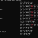 <span class="title">【RHEL 10／PHP】PHPのインストールとWordPress実行に必要なPHP拡張モジュール （2026年03月度版）</span>